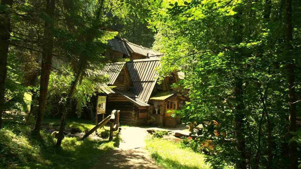 Holiday Park Zelenkovac Podrasnica ภายนอก รูปภาพ
