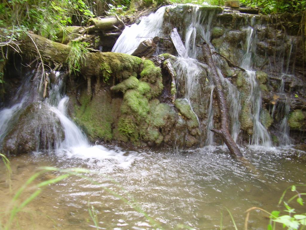 Holiday Park Zelenkovac Podrasnica ภายนอก รูปภาพ