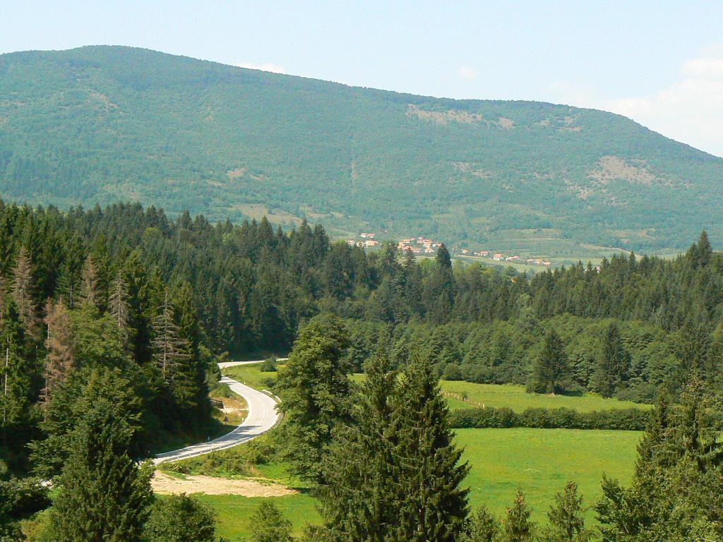 Holiday Park Zelenkovac Podrasnica ภายนอก รูปภาพ