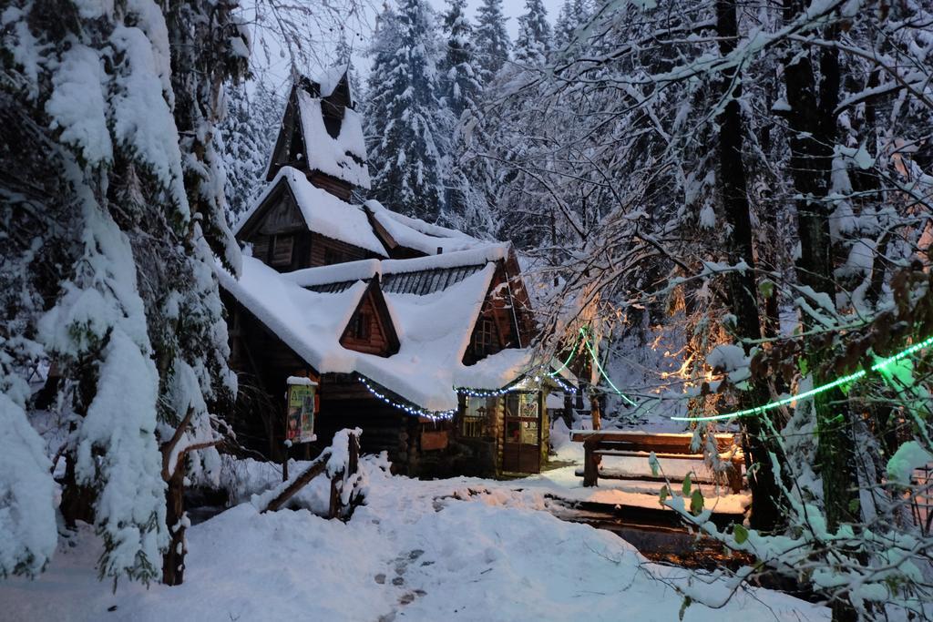 Holiday Park Zelenkovac Podrasnica ภายนอก รูปภาพ