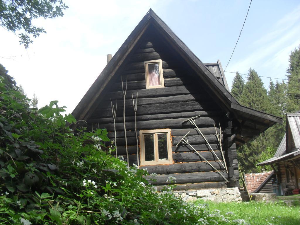 Holiday Park Zelenkovac Podrasnica ภายนอก รูปภาพ